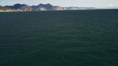 Balinalarla deniz manzarası ve dağlarla kıyı manzarası..
