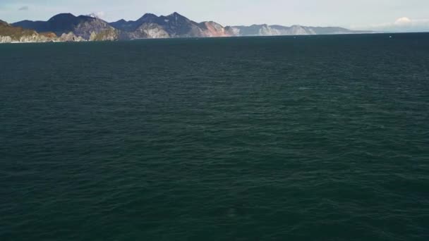 Aerial vertical panoramic landscape of sea with orcas and shore with mountains. — Stock Video