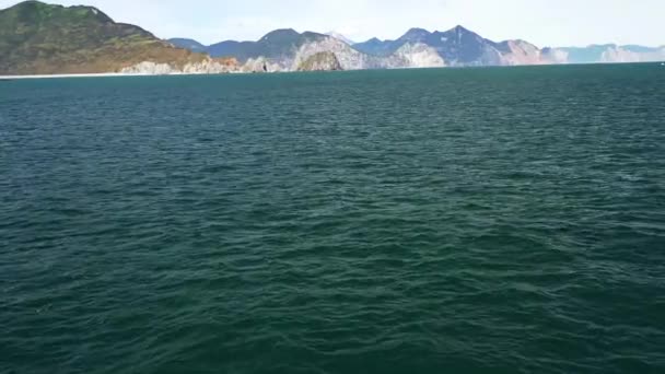 Aerial close-up dari pop-up orca dan pantai dengan pegunungan. Kamchatka — Stok Video