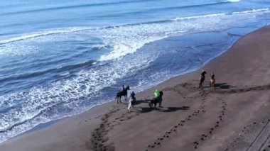 Bir grup atlı atın denize doğru yürüdüğü kumlu bir sahil şeridinin panoramik manzarası.