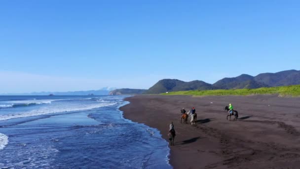 Paisaje aéreo de una costa arenosa con un grupo de jinetes a caballo galopando a lo largo del mar — Vídeo de stock