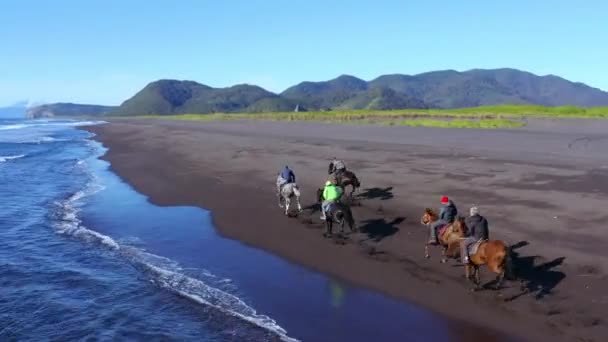 Pemandangan panorama udara dari garis pantai berpasir yang kurang dikenal dengan penunggang kuda berderap di sepanjang laut, Islandia — Stok Video