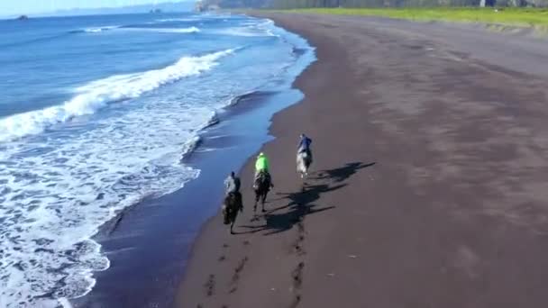 Przelot powietrzny mało znanego piaszczystego wybrzeża z galopującą grupą jeźdźców na koniach wzdłuż morza, Islandia — Wideo stockowe