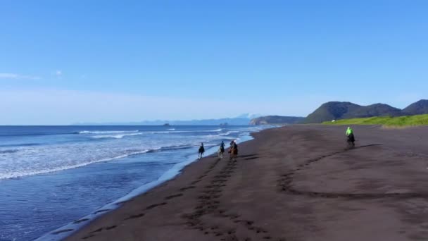 Воздушный пейзаж песчаного побережья с группой всадников на лошадях, скачущих вдоль моря, Исландия — стоковое видео