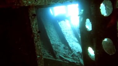 Gemi enkazı ve balıkların sualtı görüntüsü bu enkazda yüzüyor.