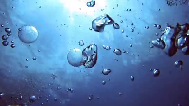 Circle panorama oxygen bubbles underwater, Maldives — Stock Video