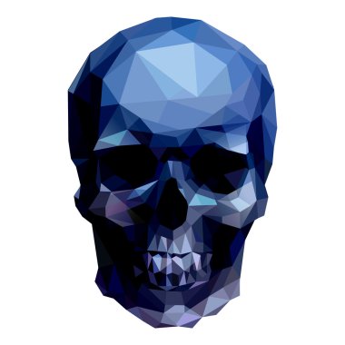 Mavi skull