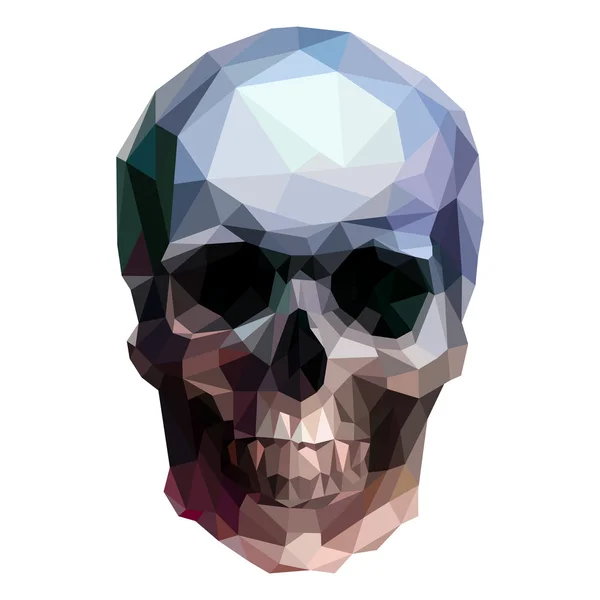 Skull — Stock Vector