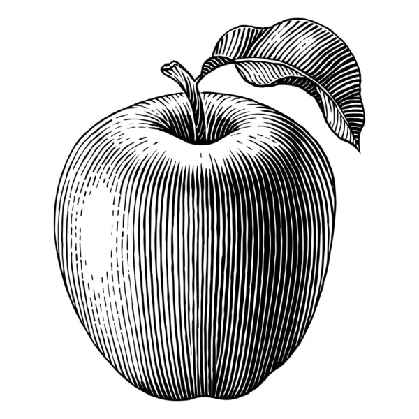 Manzana grabada — Archivo Imágenes Vectoriales