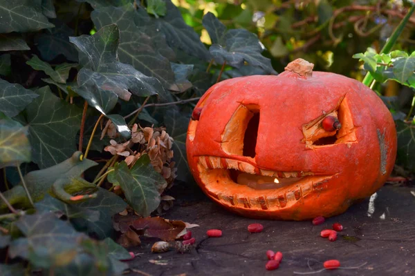 Halloween Niedługo Nadejdzie Wystrój Etapy — Zdjęcie stockowe