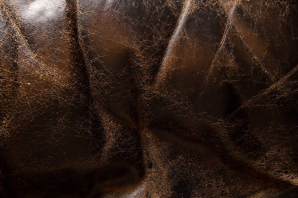 коричневый цвет кожи