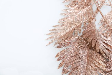 Altın dallı güzel beyaz arkaplan, metin için boş alan, tasarım kaynağı