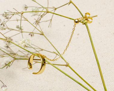 Beyaz arkaplandaki mücevherler izole edildi