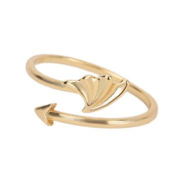 Beyaz arkaplandaki mücevher yüzükleri izole edildi