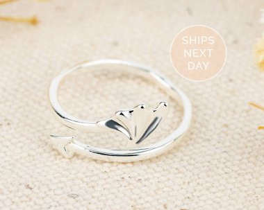 Beyaz arkaplandaki mücevher yüzükleri izole edildi