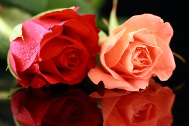 kırmızı pembe artış