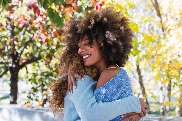 İki kadın Afro-Amerikan mutlu en iyi arkadaşları birbirlerine sarılıp parkta gülüyorlar. Neşeli afro siyah arkadaşlar, kıvırcık saçlı, sevgiyle gülümseyen ve gözleri kapalı sıcak kucaklaşan.