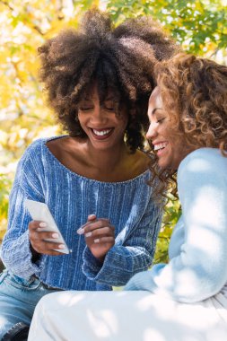 Parkta akıllı telefon kullanırken gülümseyen kıvırcık saçlı ve mavi kazaklı Afro siyahi arkadaşlarının portresi. Sosyal medyayı kontrol eden iki Afro-Amerikalı kadın açık havada akıllı telefon tutuyor.