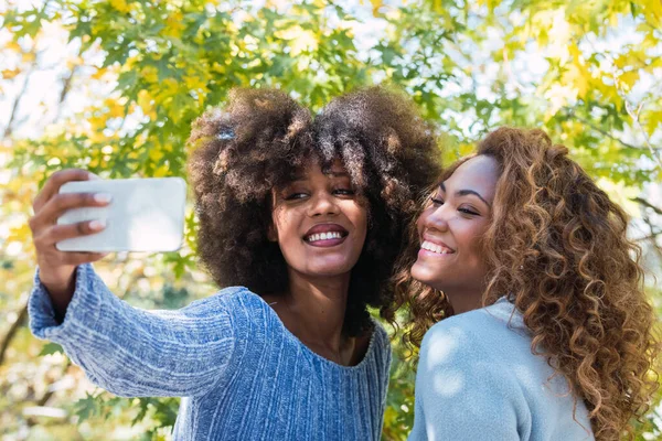 Selfie çekerken gülümseyen iki Afro-Amerikan bayan arkadaş. Kıvırcık saçlı, mavi kazaklı ve selfie çekerken gülümseyen Afro siyahi arkadaşlar. İlişki, teknoloji ve dişçi kavramı