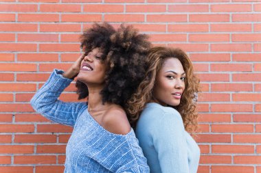 Uzun afro saçlı, parlak makyajlı ve mavi gömlekli, duvarda poz veren çekici Afro-Amerikan kadınları. Sırt sırta duran Afrikalı doğal kızların güzel portresi