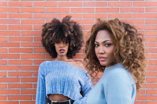 Çekici Afro-Amerikan kadınları uzun afro saçlı, göz kamaştırıcı makyajlı ve mavi gömlekli tuğla duvarda poz veriyorlar. Güzel, siyah tenli, Afrikalı, etnik bir kadın yüzü. Arkaplana odaklan