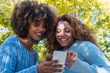 Sosyal medyada akıllı telefonları kontrol eden iki Afro-Amerikalı kadının portresi. Parkta cep telefonu kullanırken gülümseyen kıvırcık saçlı ve mavi kazaklı Afro siyah arkadaşlar.