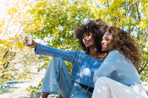 Parkta selfie çekerken gülümseyen iki Afro-Amerikan bayan arkadaş. Kıvırcık saçlı ve mavi kazaklı Afro siyahi arkadaşlar ormanda selfie çekerken gülümsüyorlar.