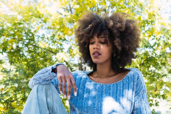 Uzun afro saçlı ve mavi gömlekli Afro-Amerikan model parkta poz veriyor. Güzel, siyah tenli, Afrikalı, etnik kadın yüzü.