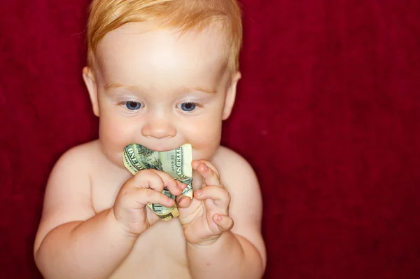 Baby kaut Dollar — Stockfoto