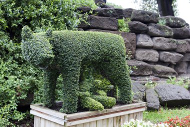 şeklinde rome.evergreen dişi kurt
