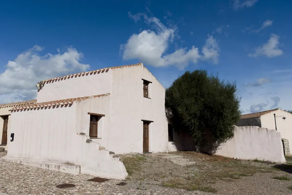 La casa vieja y el olivo — Foto de Stock