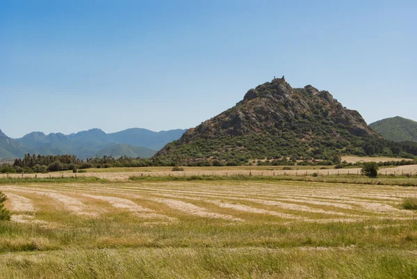 Sardunya. acquafredda Kalesi — Stok fotoğraf