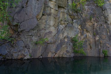 A stone wall near the water. Trees grow through the stone, forming a beautiful landscape