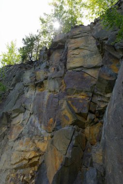 A large stone wall that stretches to the sky and has trees growing through the cracks