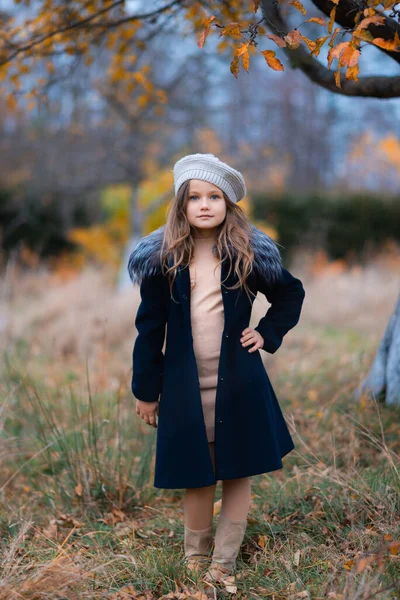 Attractive Girl Dark Blue Coat Gray Hood Beige Dress Standing — Stock Fotó