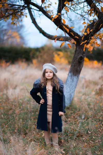 Attractive Girl Dark Blue Coat Gray Hood Beige Dress Standing — Stockfoto