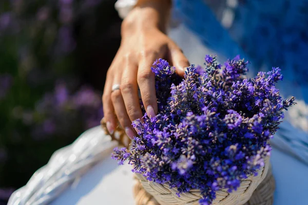 A bouquet of lavender in a wicker basket in female hands