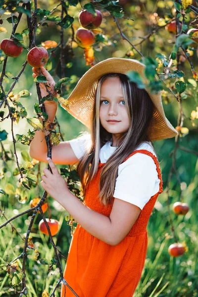 Ein Kleines Mädchen Rotem Overall Und Hut Einem Herbstlichen Apfelgarten — Stockfoto