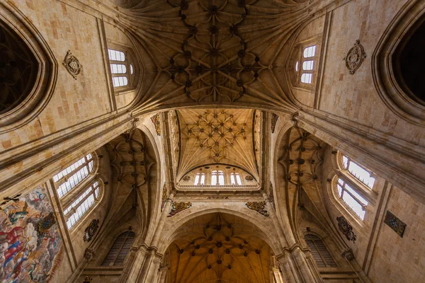 Tiro com arco superior, cúpulas e projeto arquitetônico do San Esteban — Fotografia de Stock