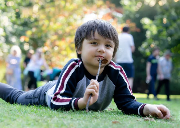 木の棒で遊ぶ緑の草の上に寝そべっているかわいい男の子 幸せな子供は小枝を持っていて 秋の葉のぼやけてカラフルな笑顔でカメラを見ています 秋に公園で屋外で遊ぶ子供 — ストック写真
