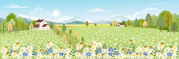 Campo Primavera Con Nubes Esponjosas Cielo Azul Lindo Panorama Dibujos — Vector de stock