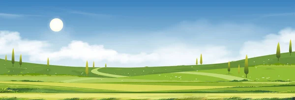 Spring Time Summer Sunny Day Landscape Village Green Field Cloud — 스톡 벡터