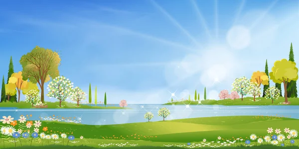 Spring Village Green Field Lake Blue Sky Clouds Backdrop Rural — Stockvector