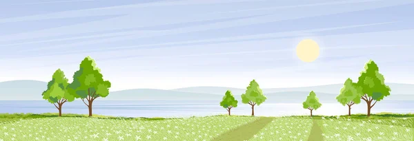緑のフィールド 青空と雲と湖で村の春の風景 ベクトル自然漫画の風景夏時間 朝の澄んだ空と川でパノラマ田園地帯 — ストックベクタ