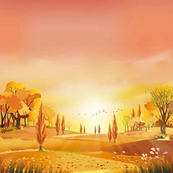ピンク オレンジの空の背景を持つ夜の光の秋の田園風景 日の出と森の木や草原の田園地帯でベクトル漫画の秋の季節 背景自然バナー — ストックベクタ