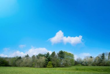 Erken baharın kiraz ağacıyla doğal manzarası, açık mavi gökyüzünde kabarık bulutlar, çimen tarlası ve güneşli yaz mevsiminde yeşil orman ağaçlarıyla yatay güzel bir çevre parkı.