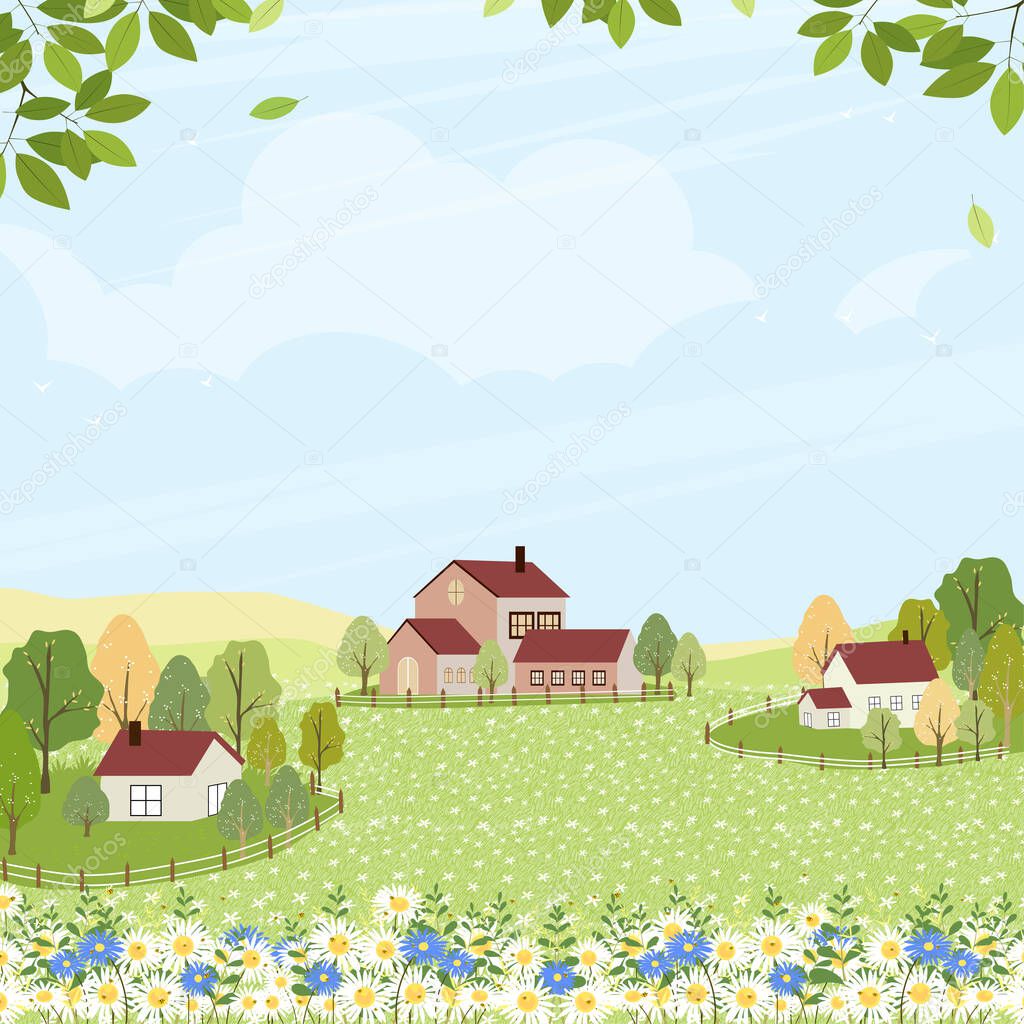 Spring field with cottage house and cloud on blue sky,Cute cartoon rural landscape green grass with honey bee collecting pollen on flowers in sunny day Summer,Vector background banner for Springtime 