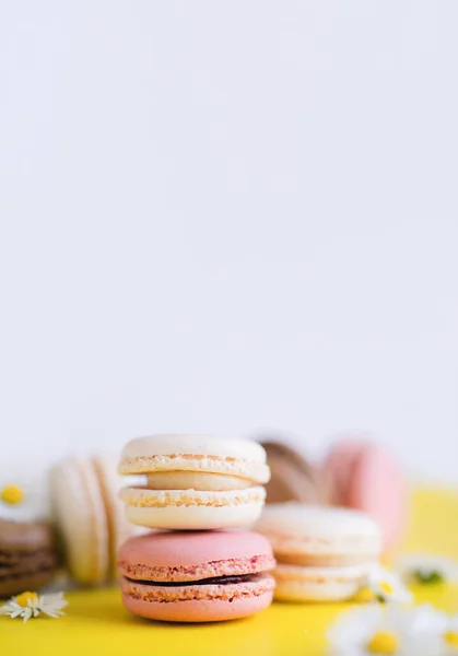 French macaroons with blurry daisy on white background. Colourful sweet  dessert  or Snack for coffee or tea break, Vertical banner for Spring or Summer holiday promotions