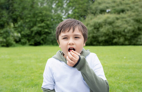 Portrait Happy Young Boy Sitting Grass Field Eatting Red Cherry Royalty Free Stock Images