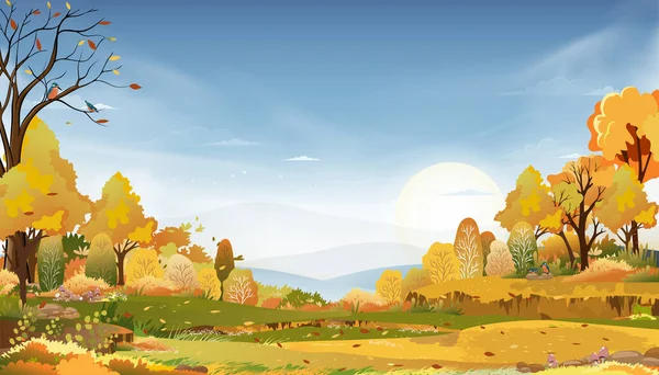 Autumn rural landscape in evening light with sunset, blue and pink sky background,Vector Cartoon fall season at countryside with forest tree and grass field with sunrise,Backdrop banner for Autumnal